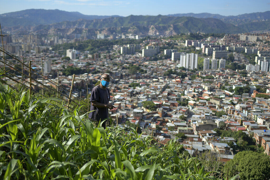 APTOPIX Virus Outbreak Venezuela